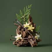 Woodland Scent Layering Routine